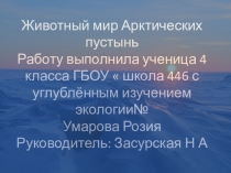 Животный мир Арктических пустынь 4 класс