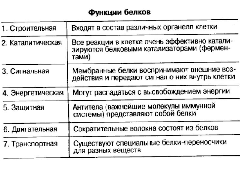 Белки и их функции. Сигнальная функция белков. Функции белков функция характеристика. Сигнальная функция белков примеры. Сигнальная функция белков характеристика.