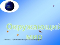 Презентация  Органы чувств