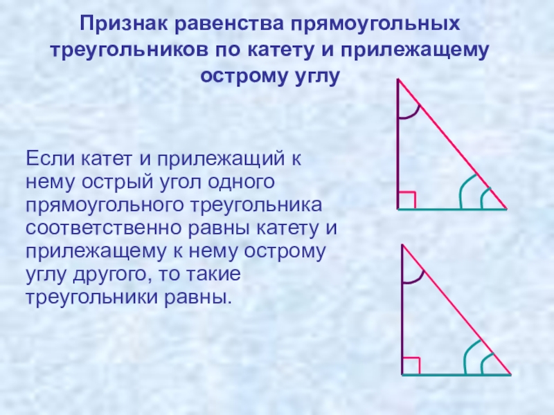 Если катеты одного прямоугольного треугольника соответственно равны. Прилежащий острый угол. Катет и прилежащий к нему острый угол. По катету и прилежащему острому углу. Если катет и прилежащий к нему острый угол одного прямоугольного.