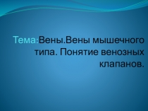 морфология кровеносных сосудов