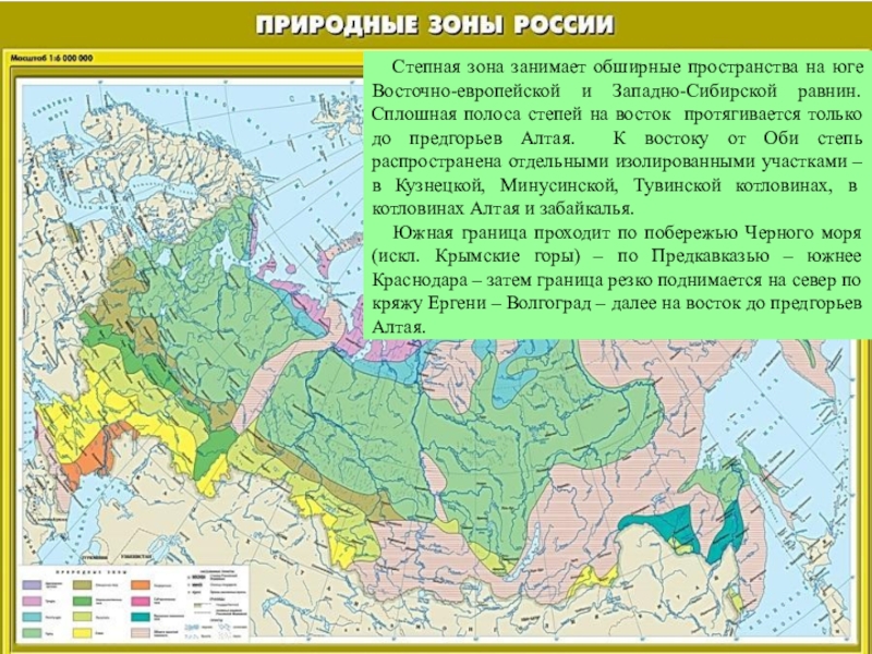 Какие территории россии занимает зона степи