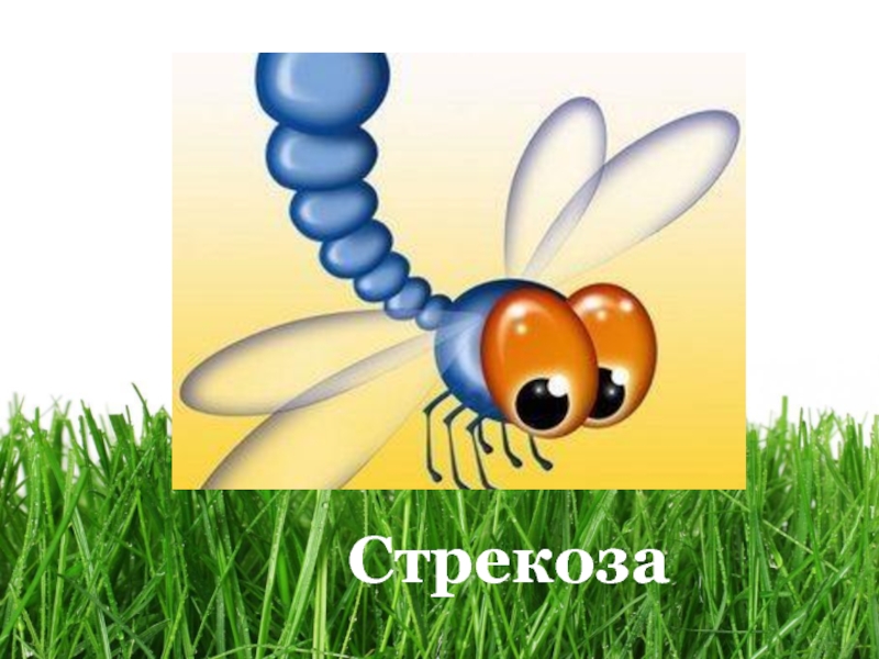 Борис житков храбрый утенок презентация 2 класс