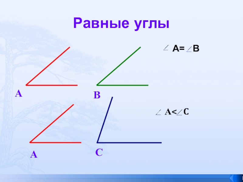 Тема углы