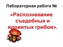 Презентация по биологии 7 класс на тему :Распознавание съедобных и ядовитых грибов. Лабораторная работа.
