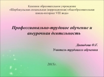 Профессионально-трудовое обучение и внеурочная деятельность в адаптивной школе.