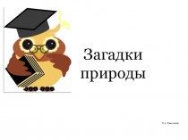 Презентация открытое занятие Загадки природы