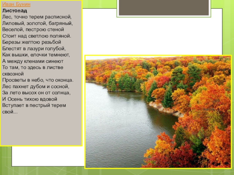 Чтение 4 класс листопад. Иван Бунин лес точно Терем расписной. Иван Алексеевич Бунин листопад полностью. Бунина «листопад». Лес, точно Терем расписной,. Иван Бунин листопад текст.