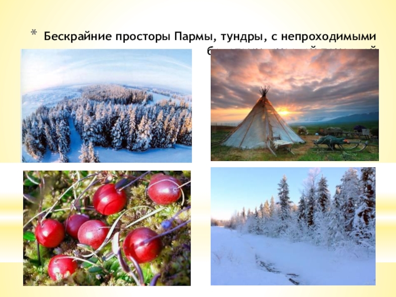 Бескрайние просторы Пармы, тундры, с непроходимыми болотами, суровой природой