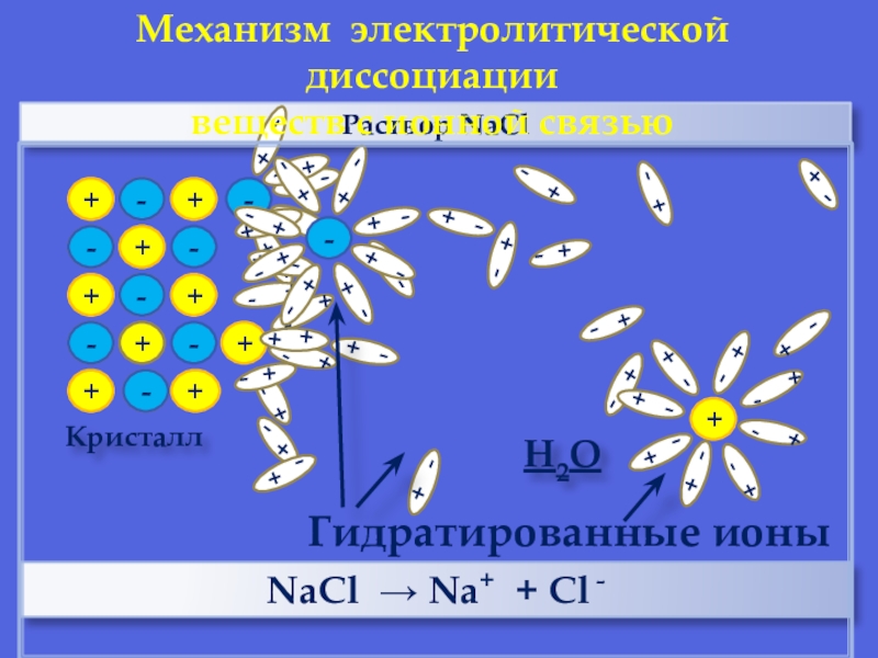 ++--++--Раствор NaClКристалл-+++--++---+NaCl → Na+ + Cl - Механизм электролитической диссоциации веществ с ионной связьюГидратированные ионыН2О