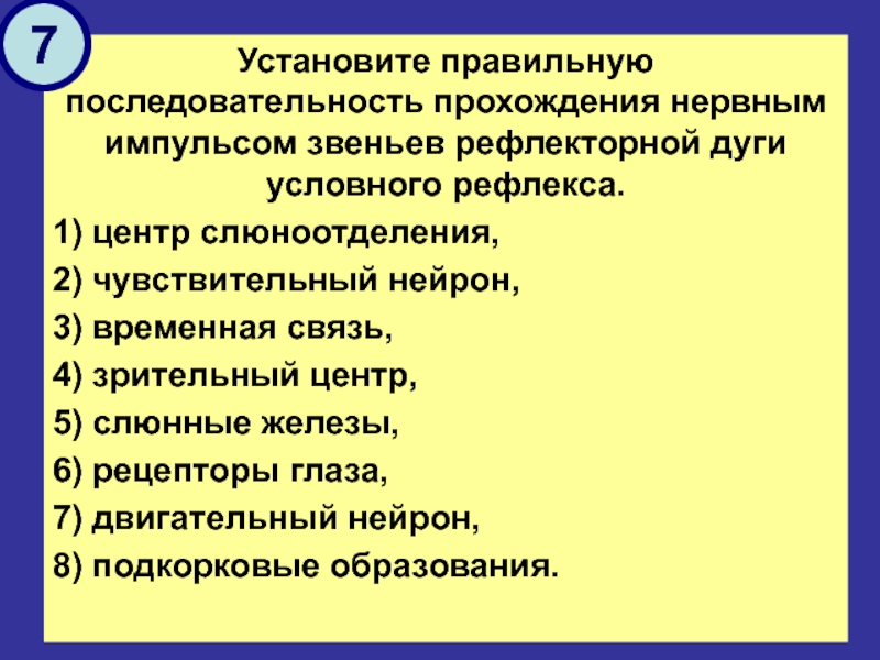 Укажите правильную последовательность прохождения