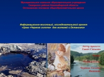 Презентация по биологии Информационно-поисковый, исследовательский проект Цена Черного золота для жителей с.Останинка