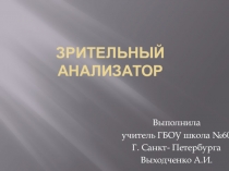 Презентация по биологии на тему Зрительный анализатор (8 класс)