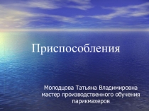 Презентация к уроку Инструменты и приспособления