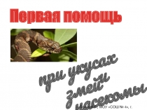 Презентация : Первая помощь при укусах змей и насекомых