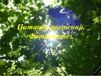 Презентация по биологии на тему Питание растений. Фотосинтез (6 класс)