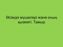 Дүниетану 2 класс Өсімдіктің мүшелері және оның қызметі