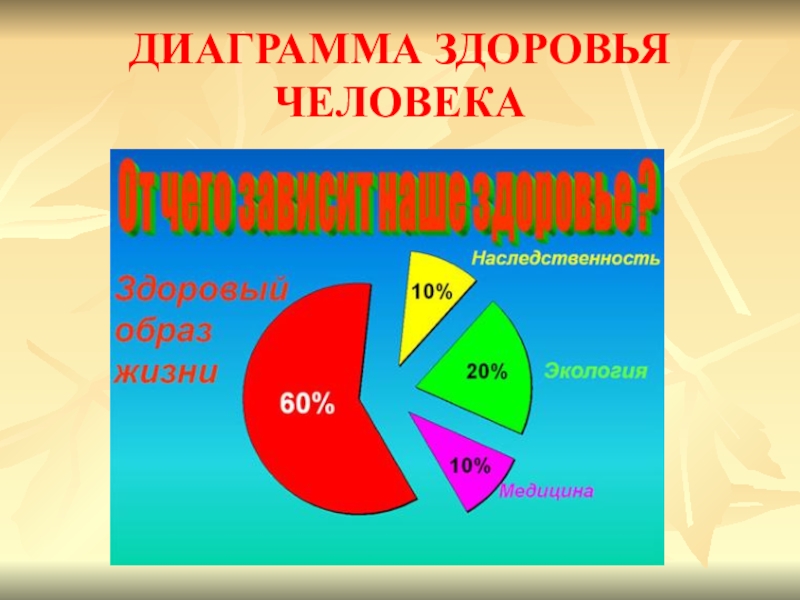 Диаграмма здоровья. Диаграмма здорового образа жизни. Диаграмма человека. Диаграмма составляющих здоровья.