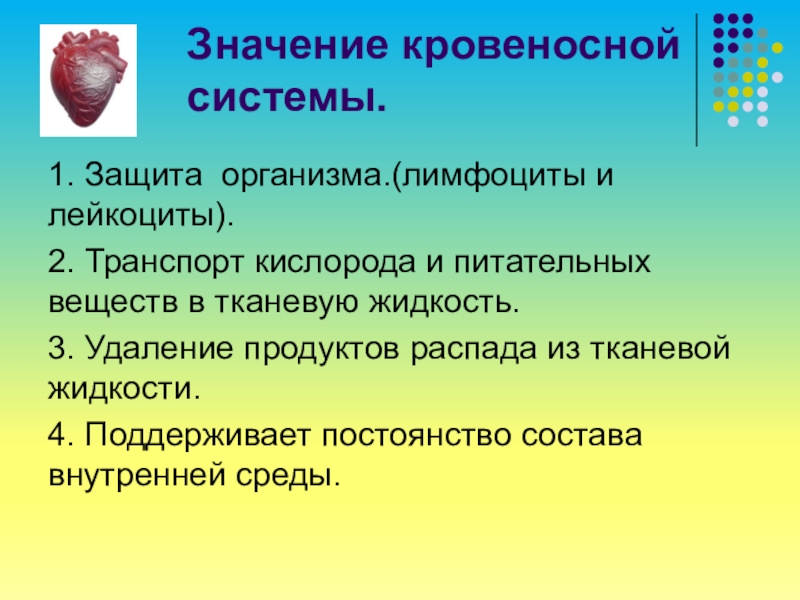 Какое значение для организмов имеет. Значение кровеносной системы. Щеааение кровеносной системы. Органы кровеносной системы и значение. Значение кровеноснойсисьемы.