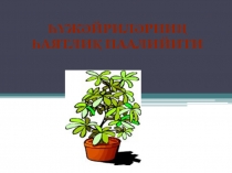 Һүжәйриләрниң һаятлиқ паалийити