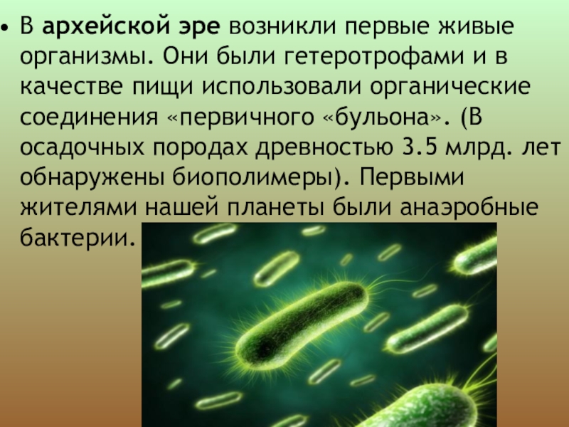 Презентация по биологии 6 класс историческое развитие растительного мира