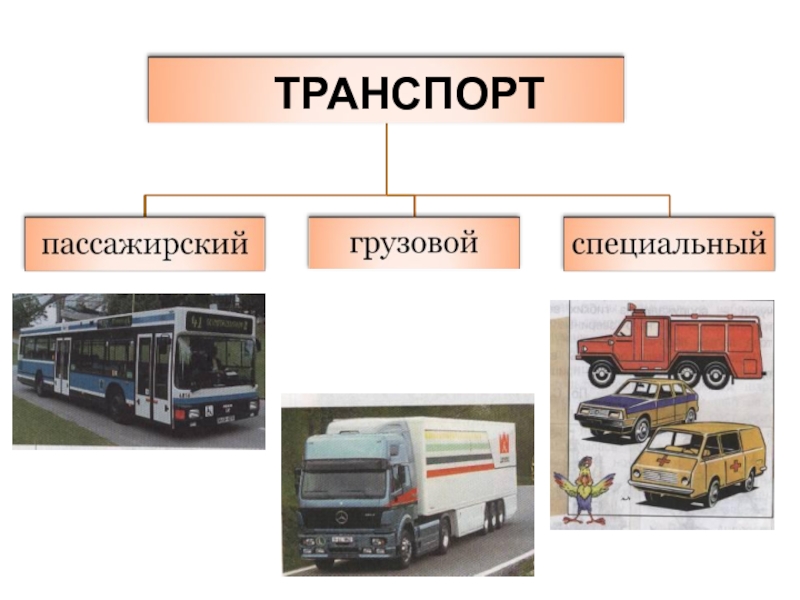 Виды транспорта грузы. Транспорт пассажирский грузовой специальный. Виды транспорта пассажирский грузовой специальный. Специальный Наземный транспорт. Виды грузового транспорта.