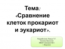 Презентация по биологии на тему  Сравнение прокариот и эукариот (9-11 класс)