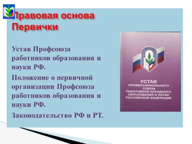 Положение о первичной профсоюзной. Устав профсоюза образования. Устав профсоюзной организации работников образования. Устав профсоюза работников народного образования и науки РФ. Положение о первичной профсоюзной организации.