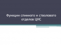 Презентация по биологии: Функции спинного и стволового отделов ЦНС