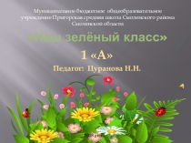 Презентация Наш зеленый класс