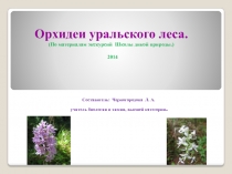 Презентация по биологии Орхидеи уральского леса