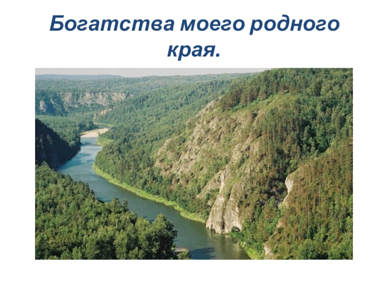 Богатства нашего края. Богатство родного края. Природные богатства моего края. Проект богатство родного края. Природные богодство моего края.