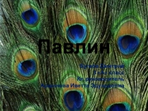 Презентация по окружающему миру на тему Птицы