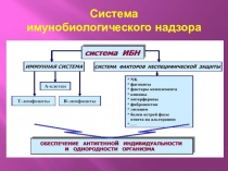 Презентация по теме:Иммунные реакции организма
