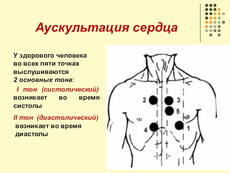 Шумы сердца пропедевтика презентация