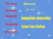 паукообразные