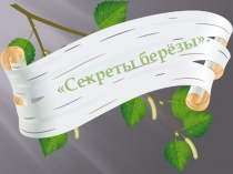 Презентация к конспекту НОД по ручному труду в подготовительной группе Секреты бересты