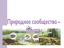 Презентация по окружающему миру Природное сообщество: Болото