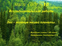 Исследовательская работа Лес - легкие нашей планеты