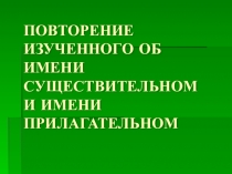 Тема  Повторение изученного об имени существительном и имени прилагательном