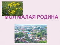 Презентация Моя малая Родина