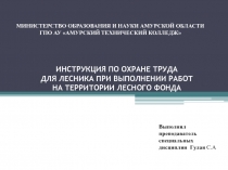 Презентация по теме ИНСТРУКЦИЯ ПО ОХРАНЕ ТРУДА ДЛЯ ЛЕСНИКА ПРИ ВЫПОЛНЕНИИ РАБОТ НА ТЕРРИТОРИИ ЛЕСНОГО ФОНДА