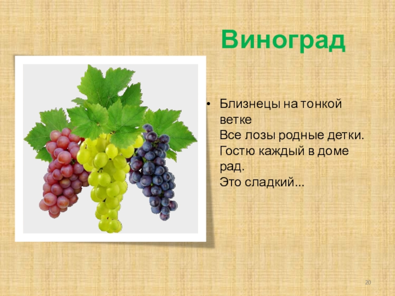 Как пишется виноград. Загадка про виноград для детей. Загадка про виноград. Виноград презентация. Стихотворение про виноград.