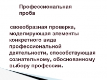 Презентация по технологии на тему Профессиональная проба