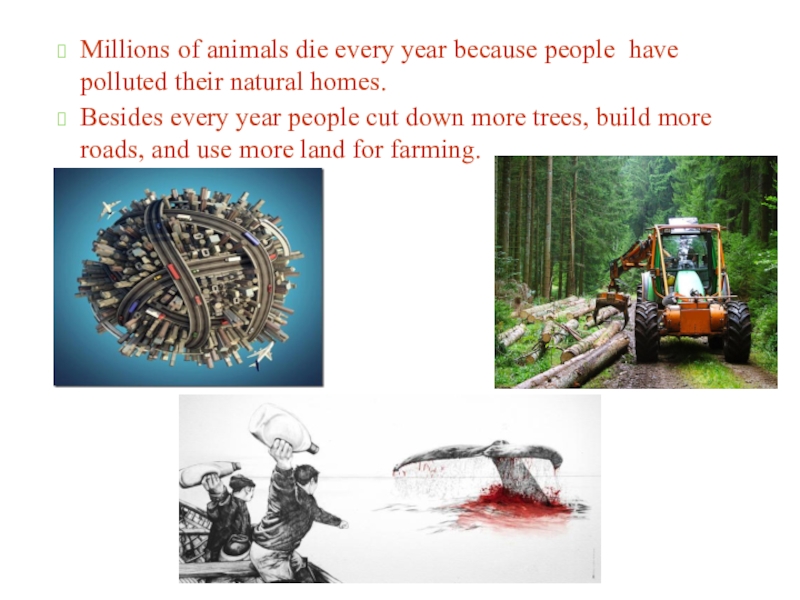 Every die. Millions of animals die every year because man has polluted their natural Homes.. Man has polluted their natural Homes.