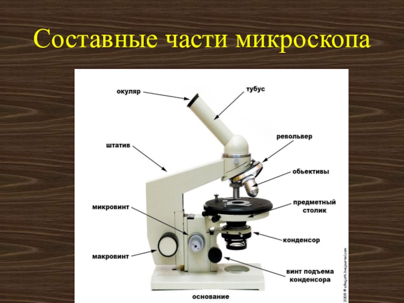 Детали цифрового микроскопа 5 класс биология. Световой микроскоп строение микровинт. Строение микроскопа макровинт. Строение микроскопа микровинт. Микроскоп составные части 5 класс.