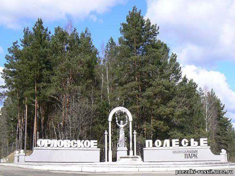 Парк орловское полесье. Орловское полесье орловская область. Орловское полесье святой источник. Орловское полесье родник. Национальный парк орловское полесье сообщение.