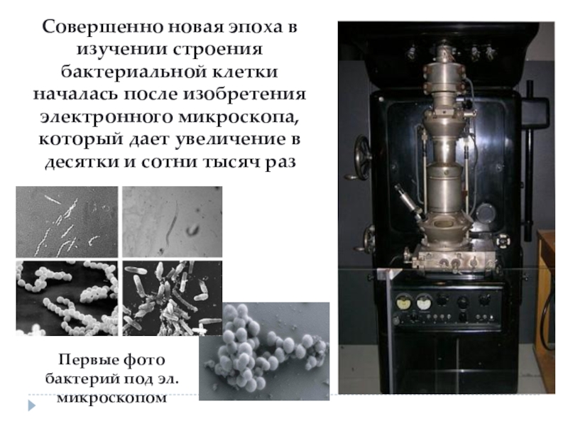 Кто изобрел электронный микроскоп