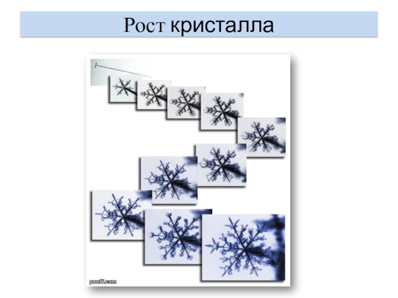 Кристалл роста. Рост кристаллов. Ступени роста кристаллов. Рост кристаллов схема. Теория работы рост кристаллов.