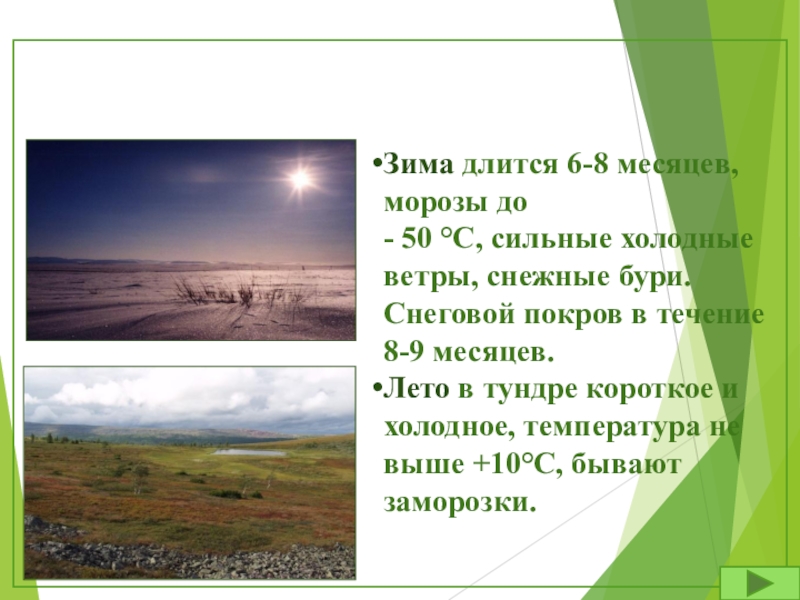 В тундре длинная суровая зима и короткое прохладное лето. Лето в тундре длится. Короткое лето в тундре. Тундра зимой и летом.